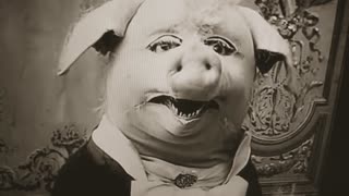 Dancing Pig 1907
