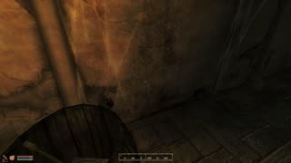 Oblivion - Castle Leyawin Basement How to access secret room