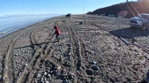 Halibut Catch & Cook While Beach Camping in Alask