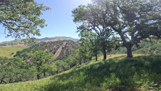 Mt. Diablo Foothills (Walnut Creek, Ca); Ravine Lookout