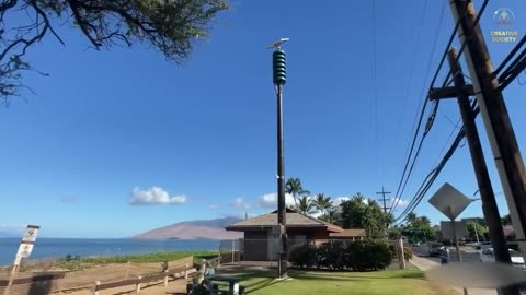 La vérité épouvantable sur les incendies à Hawaï