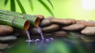 🔴 Relaxing Music 24/7, Sleep Music, Stress Relief Music, Spa, Meditation, Yoga, Zen,