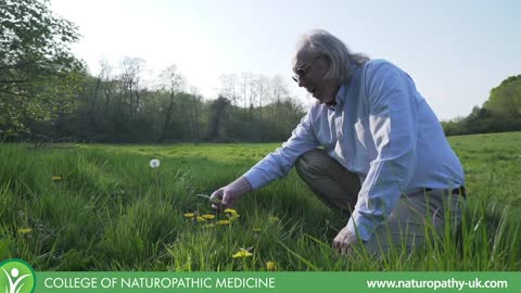 Introduction to Medicinal Herbs & Healing with Peter