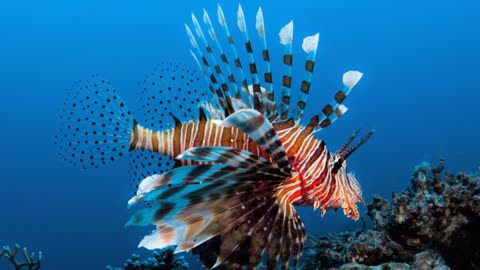 Beware the Depths: Top 7 Most Dangerous Sea Creatures