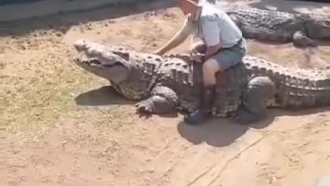 Crocodile bite zoo keeper , luckily zoo keeper is alive…
