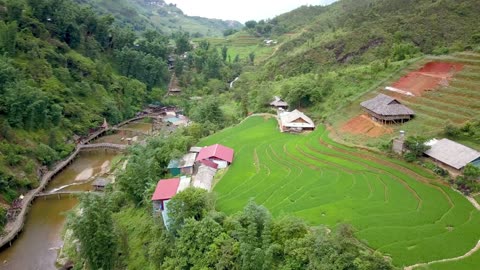 River village rice fields