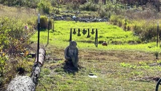 Shooting a Creepy Statue with the .308