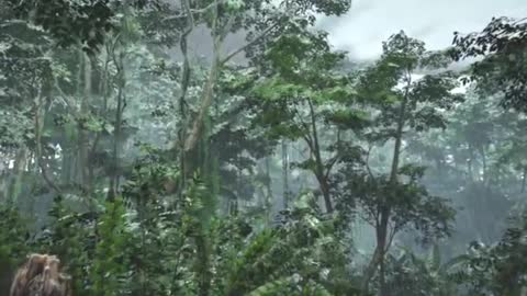 Unreal Engine 5 Realistic Rain Forest #shorts