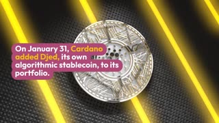 Cardano's new stablecoin launched