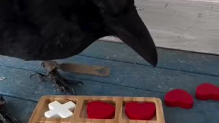 A Smart Raven wins Tic-tac-toe