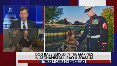 Retired Marine dog honored for combat heroism