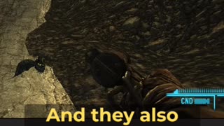 Scariest Enemies In New Vegas