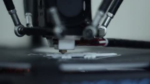 lizard created on 3D printer