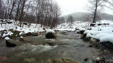 Ukrainian Carpathians