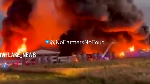Millions of Chickens Killed in 5-Alarm Fire at Farina Farms Inc. in Illinois.