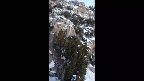 TAKE A RIDE ON THE PALM SPRINGS AERIAL TRAM!