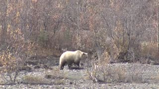 10 Best Places to Visit in Alaska - Travel Video