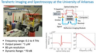 IEEE: Terahertz Imaging for Margin Assessment of Excised Breast Cancer