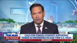 'TOTAL CHAOS'_ Everything in America is in chaos says, Sen. Rubio