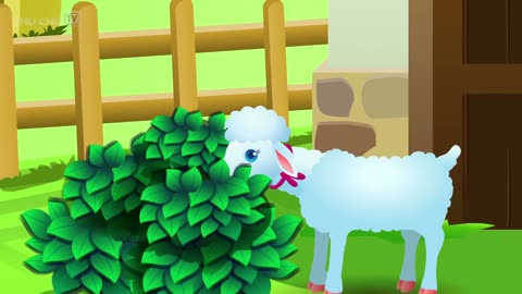 Mary Had A Little Lamb Nursery Rhyme | Best English Poems and Rhymes Learning for Kids