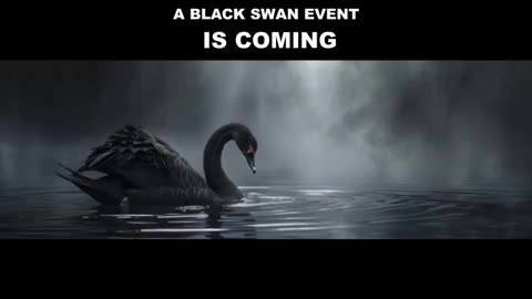 SO YOU WERE SHOCKED ON MAY 30TH? THAT'S NOTHING TO WHAT'S COMING ...... A HUGE BLACK SWAN EVENT