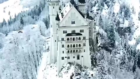 Amazing Palace winter