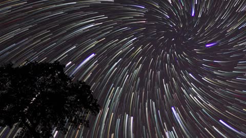 Star Trails Royalty Free HD Stock Footage