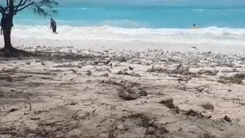 Waves in the cook islands