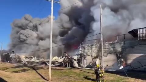 Largest chicken egg suppliers caught fire, leaving an estimated 100,000 hens dead.