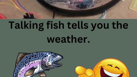 Talking fish tells you the weather!