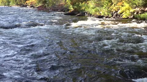 5 Days Fishing and Whitewater Canoeing on the Petawawa River - 40" Musky