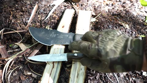 Survival Knives vs. Bushcraft Knives (What's the big deal?)