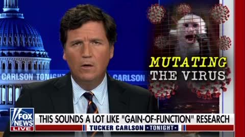Fox News Tucker Carlsen - Pfizer exec admits C19 came from a lab