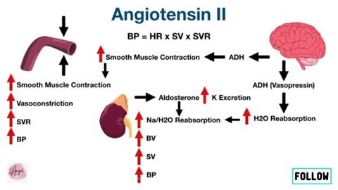 Angiotensin II Receptor Blockers (ARBs)_ Mechanism of Action, Mnemonic, Side Effects, Indications