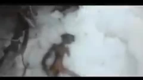 ALIEN CORPSE DISCOVERED IN SIBERIA
