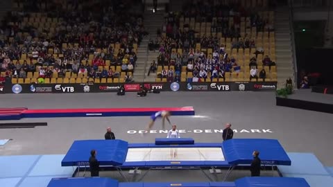 2015 Trampoline World Championships (Male)