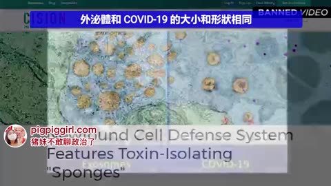 5G, 細胞外泌體與Covid-19病毒之間的關聯