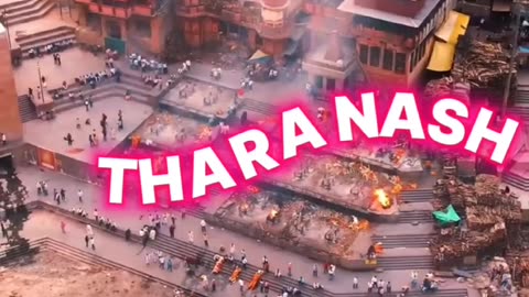 THARA PAISA THARI DAULAT LYRICS | PAON KI JUTI LYRICS | #paonkijutti #viralsong #tharapaisa #lyrics