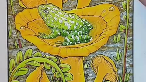 Coloring Vibes: A Frog's Magic Mushroom Kingdom!