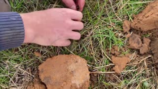 Internment Camp Coins Metal Detecting With Minelab