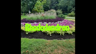 Rhododendron Gardens, Ontario