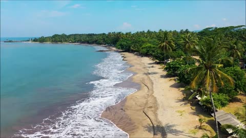 Beach Stock Footage _ Drone Aerial View