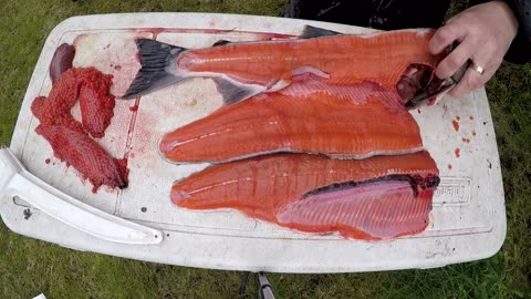 Alaska Adventure - Part 1 Traveling to Alaska and Fishing for salmon