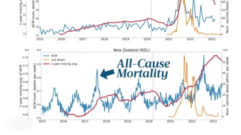 Excess deaths statistics before and after the Covid-19 vaccine