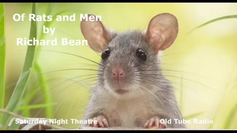 Of Rats and Men by Richard Bean. BBC RADIO DRAMA