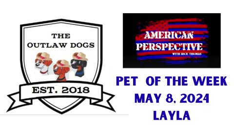 Pet of the Week-American Perspective w/ Rick Thomas-Layla the Lab