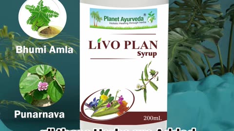 Livo Plan Syrup - Fatty Liver Herbal Remedy for Children & Adults | Detox Liver Naturally