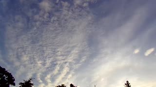 Chemtrails 6/1/24: