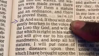 chosen ones daily scripture Exodus 15_26 listen to the lord and do what’s right in his eyes!