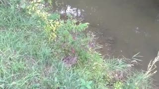 sight seeing creek while fishing